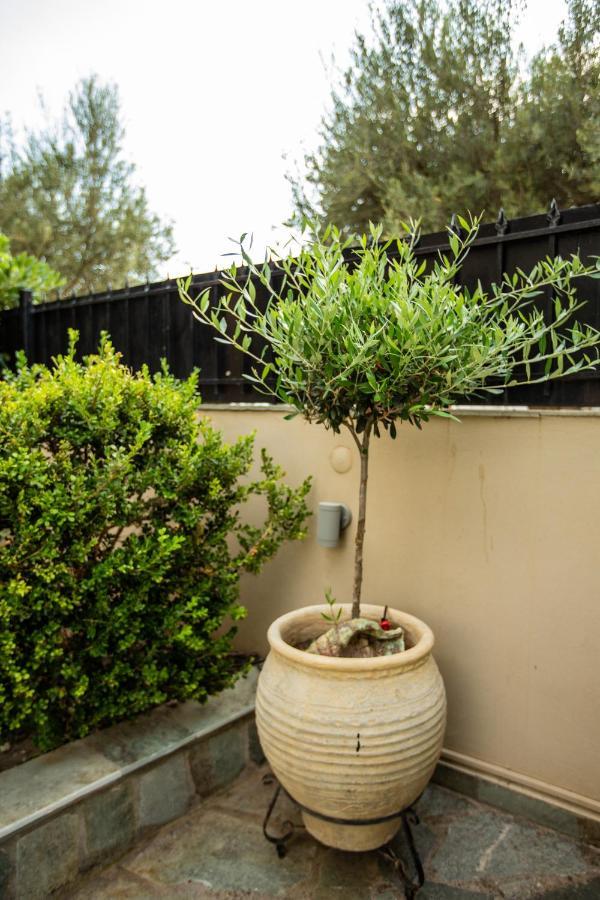 Amaryllis Holiday Home Agios Spyridon  Bagian luar foto